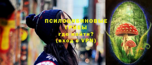 spice Абинск