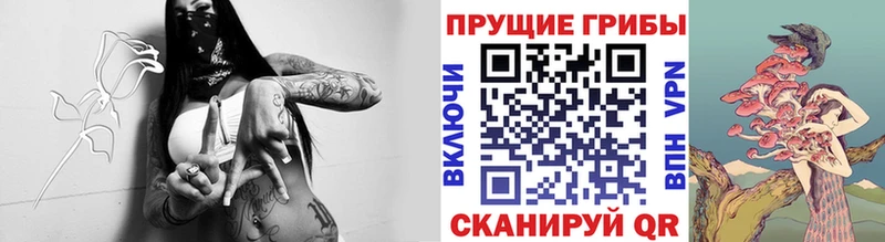 Галлюциногенные грибы мицелий  нарко площадка какой сайт  Шумерля  купить наркоту 